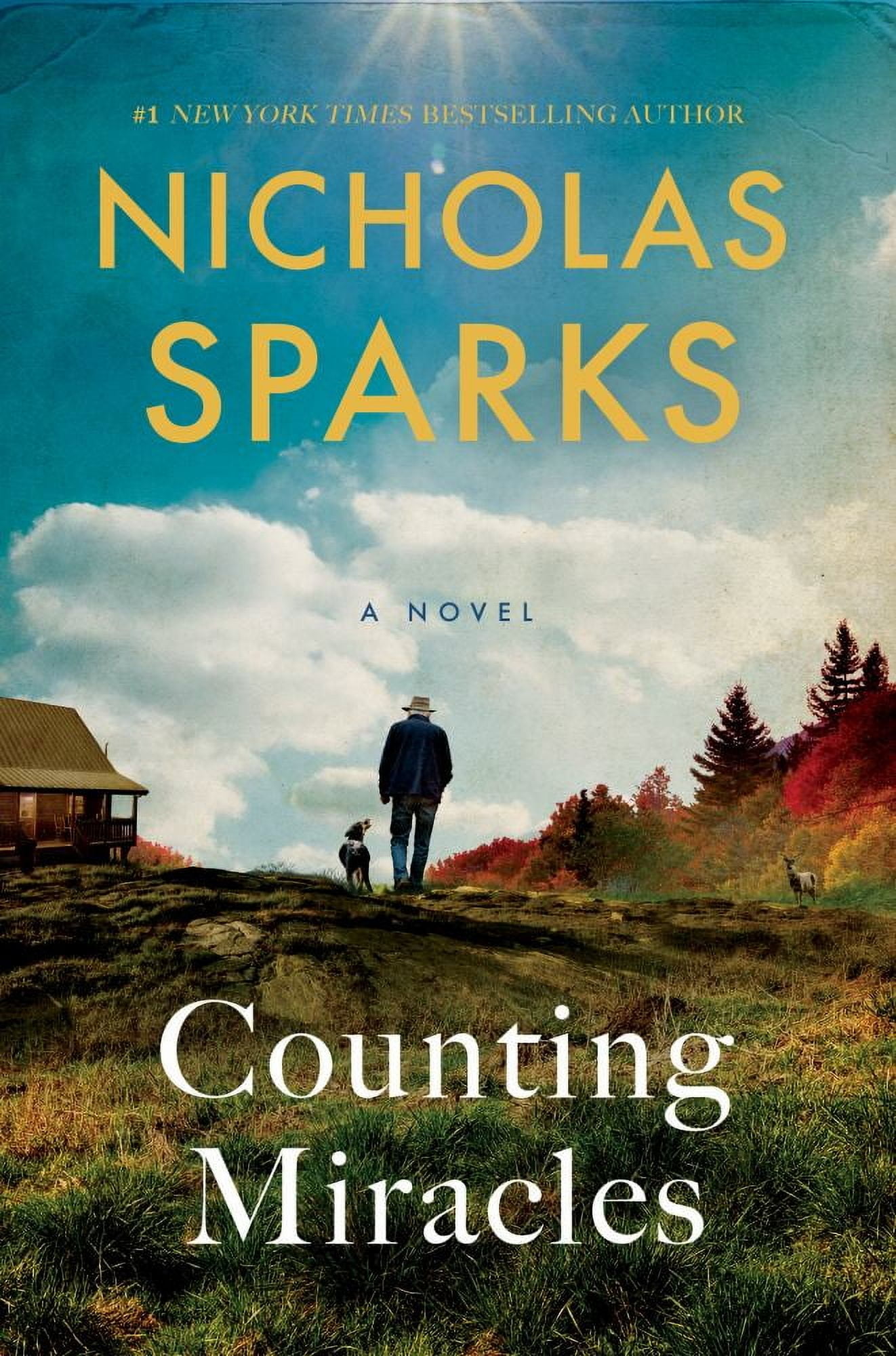 Counting Miracles: A Novel (Hardcover)